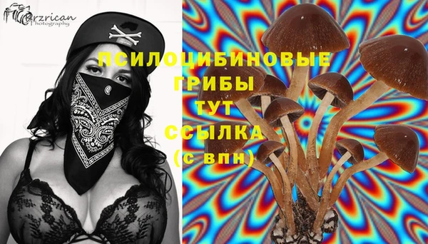 каннабис Абдулино